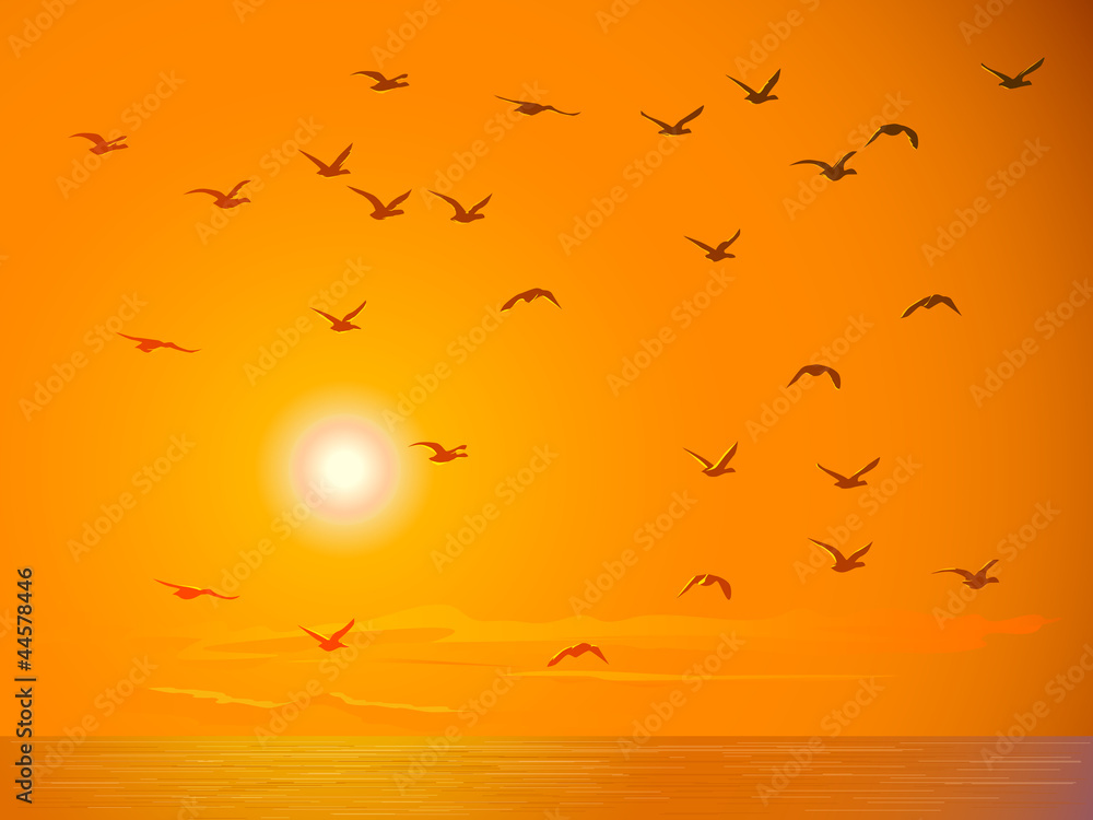 Flying birds against orange sunset.