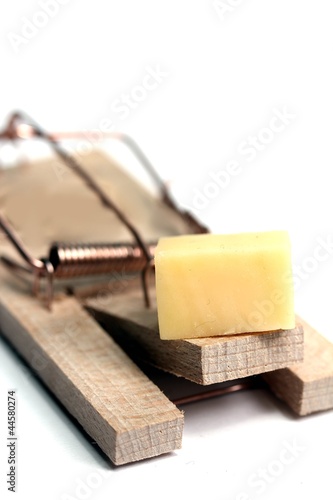 mouse trap with cheese