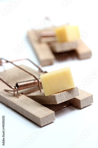 mouse trap with cheese