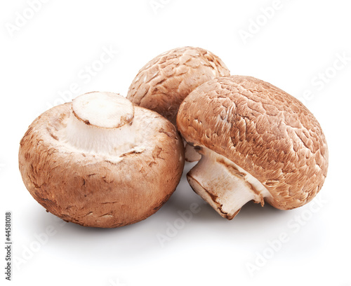 fresh mushroom champignons isolated on white