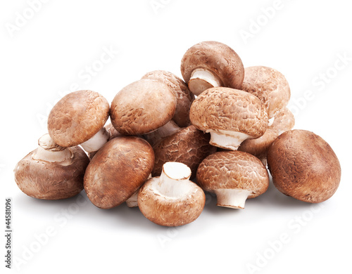 fresh mushroom champignons isolated on white