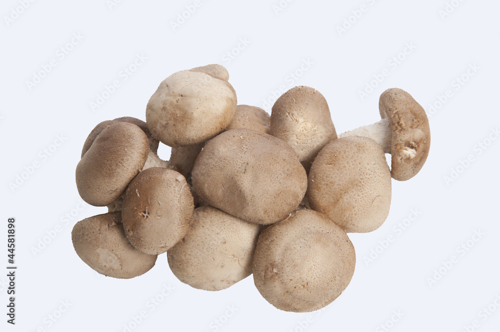 Fototapeta premium Chestnut Mushrooms isolate on white