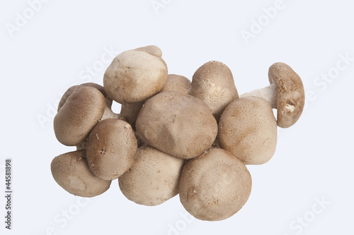 Chestnut Mushrooms isolate on white