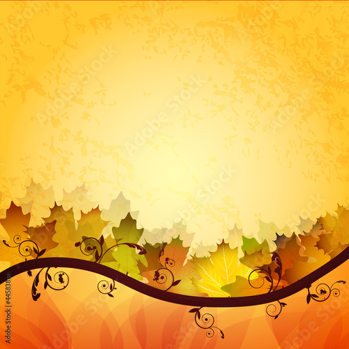 Fall leafs abstract background