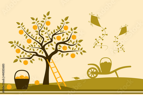 apple harvest