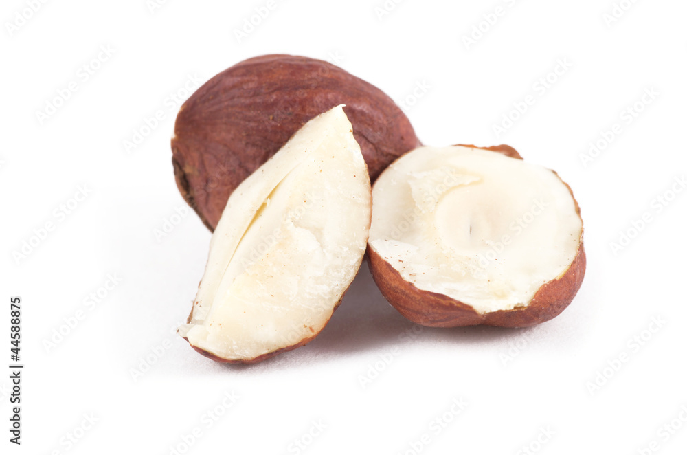 hazelnut hazelnut