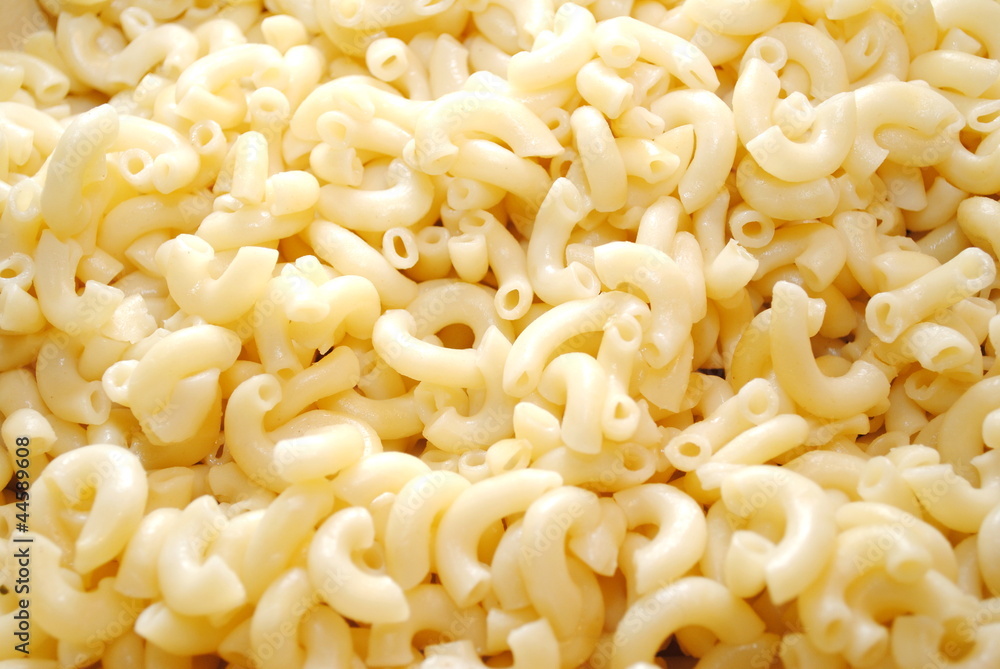 Background of Elbow Macaroni Background of Elbow Macaroni