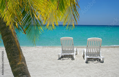 Caribbean beach chairs and palm