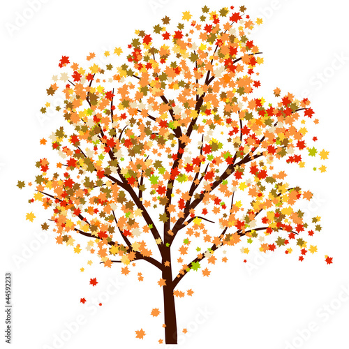 Autumn maple © Konovalov Pavel