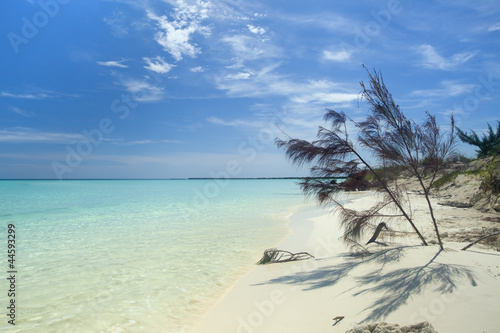 Caraibic landscape photo