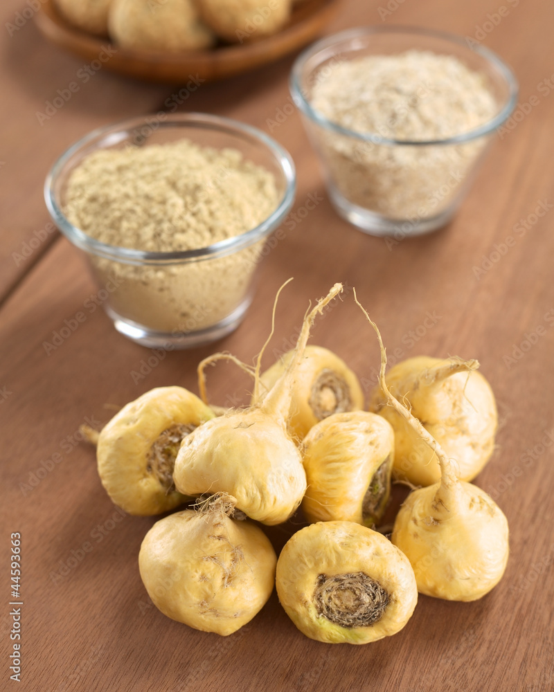 Fototapeta premium Maca roots or Peruvian ginseng (lat. Lepidium meyenii)