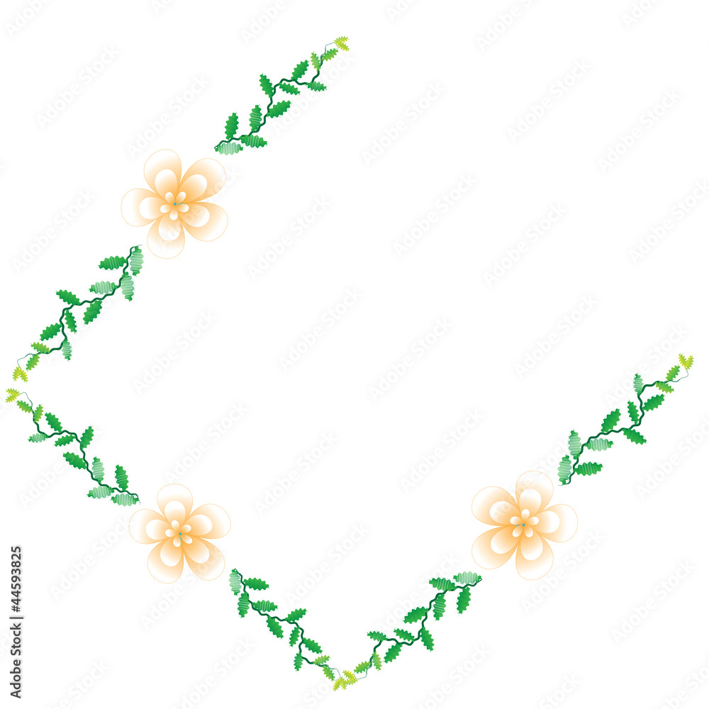 Fototapeta premium Flower of frame on white background