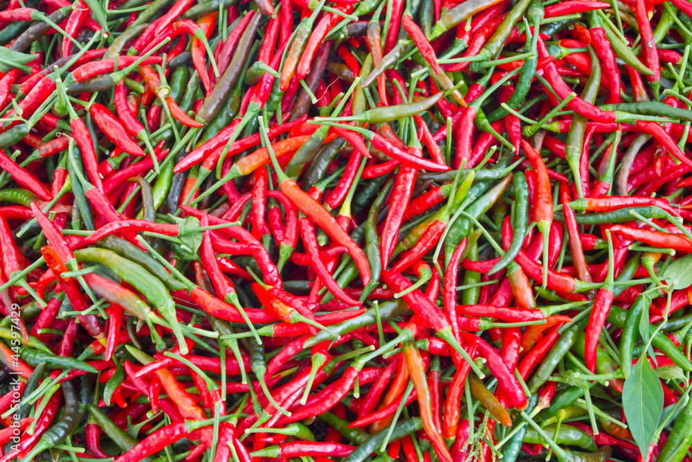 Chili background