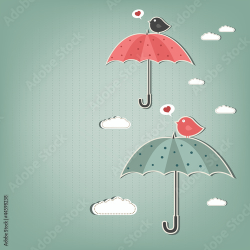 birds and umbrellas
