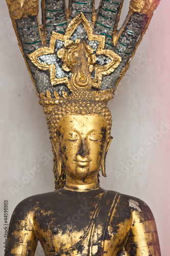 Meditation of Buddha Image