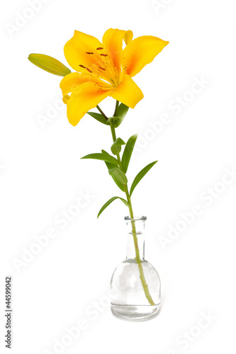 Fototapeta Naklejka Na Ścianę i Meble -  yellow lilies in glass vase