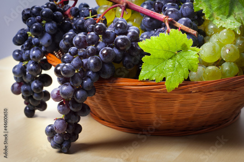 Grapes in the basket _ uva nera e bianca nel cestino