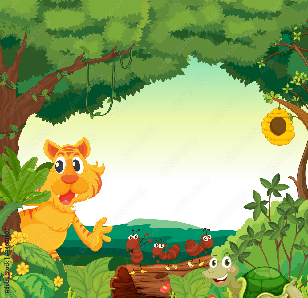 Fototapeta premium various animals