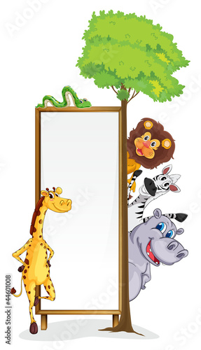 various animals and board