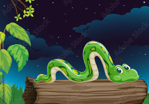 a snake