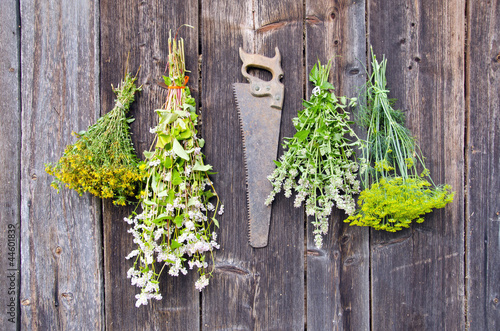 various herbs bunches on wooden wall