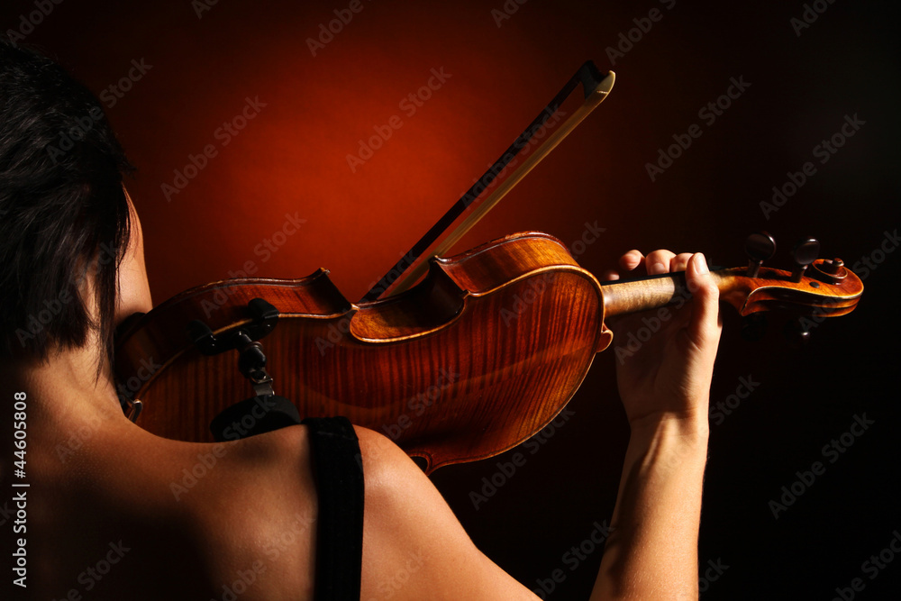 Fototapeta premium violoniste