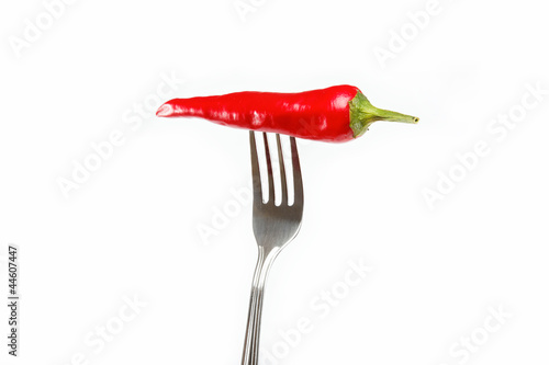 Red hot chili pepper pricked on the steel fork isolated