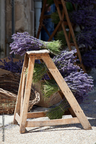 Fototapeta Naklejka Na Ścianę i Meble -  mazzi di lavanda