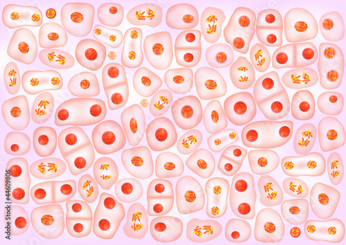 Cell division background