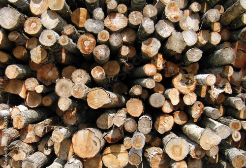 outdoors lumber woodpile