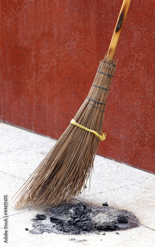 Wallpaper Mural Coconut leaves broom Torontodigital.ca