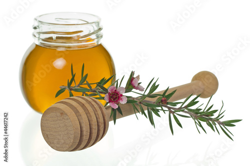 honey with dipper and manuka flower (Leptospermum)