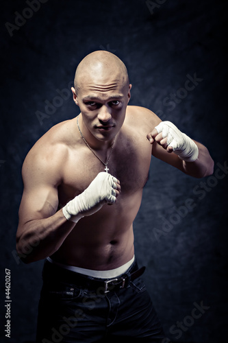 portrait of a young boxer