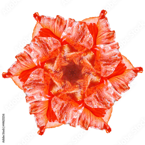 Fototapeta Naklejka Na Ścianę i Meble -  Flower mandala on white background