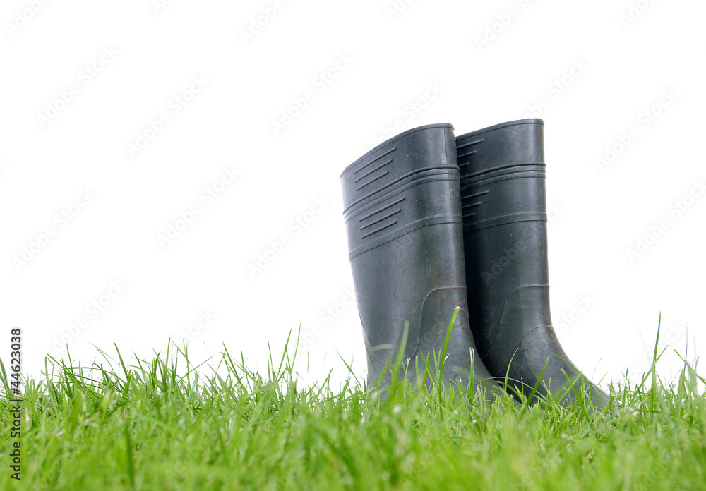 Wellingtons