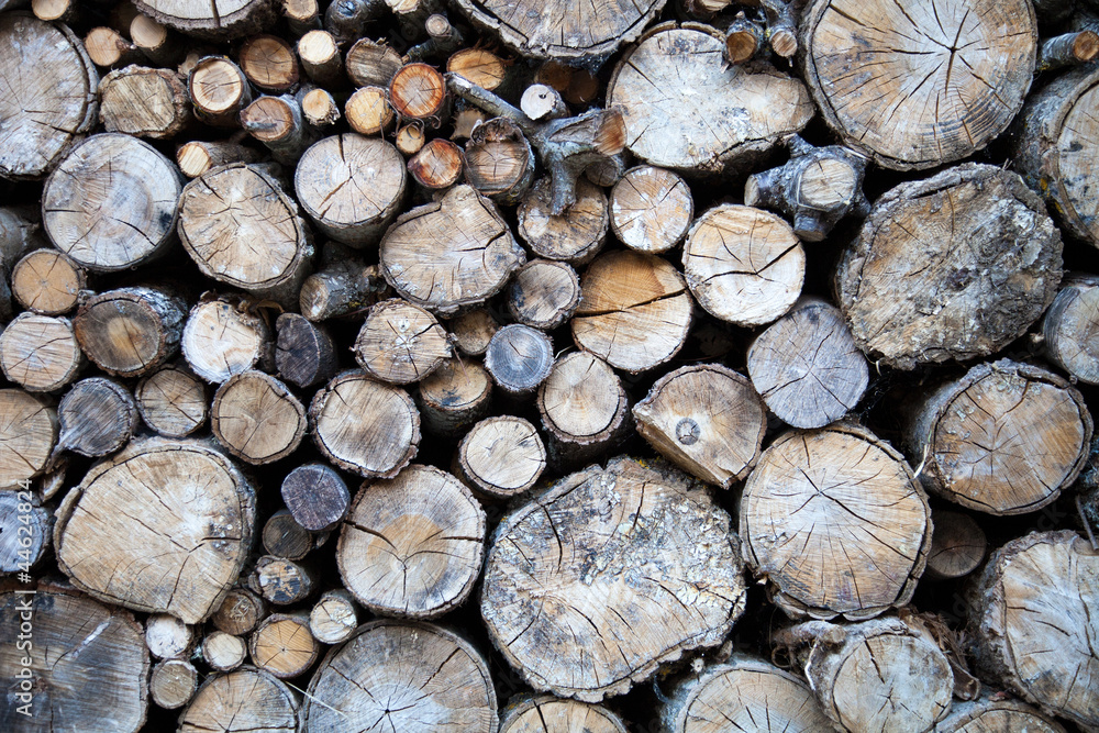 troncos de madera troncos de madera