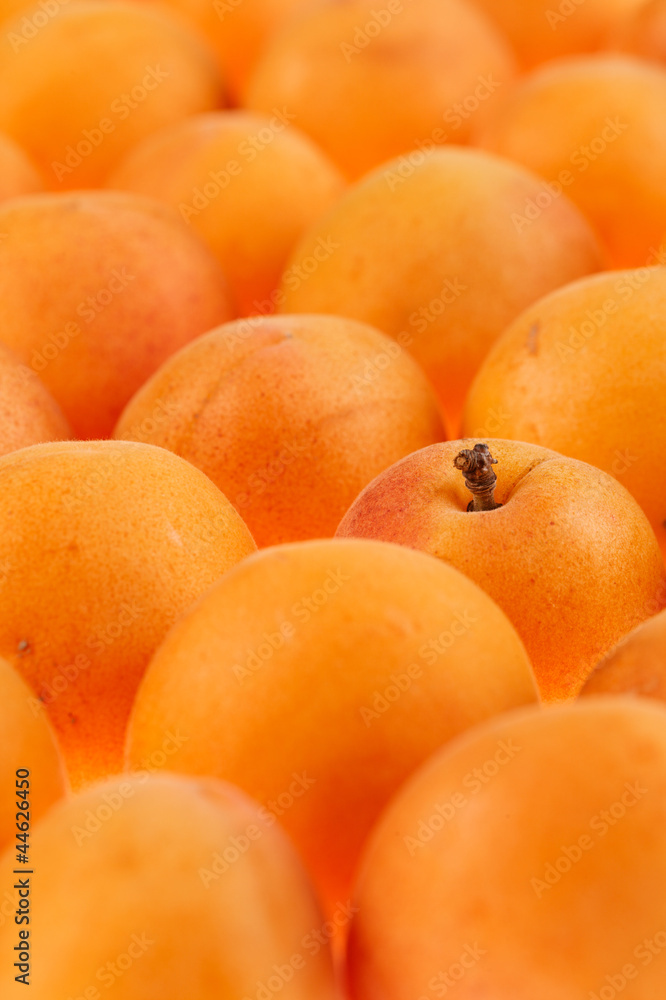apricots background, full frame, shallow DOF