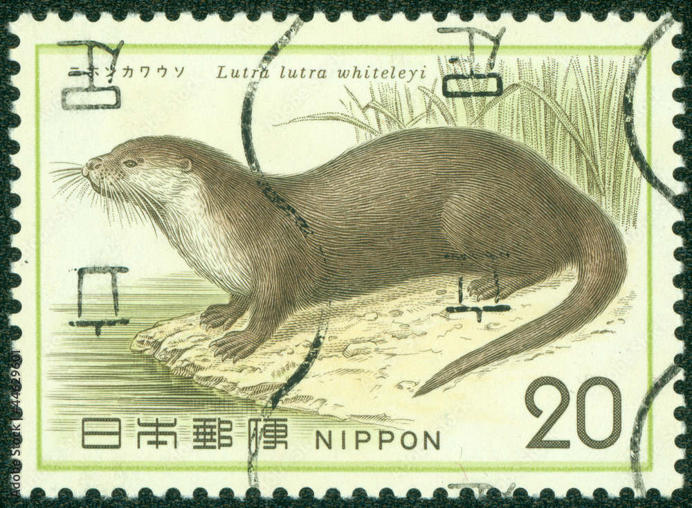 stamp printed by JAPAN shows otter Stock Photo Adobe Stock