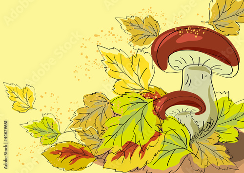 Fungus and autumn leaves