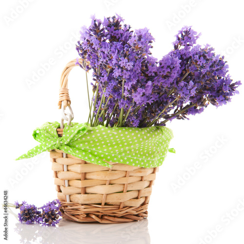 Fototapeta Naklejka Na Ścianę i Meble -  Lavender twigs in basket