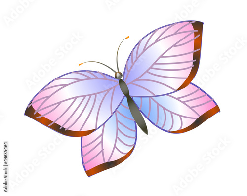 icon butterfly © zzve
