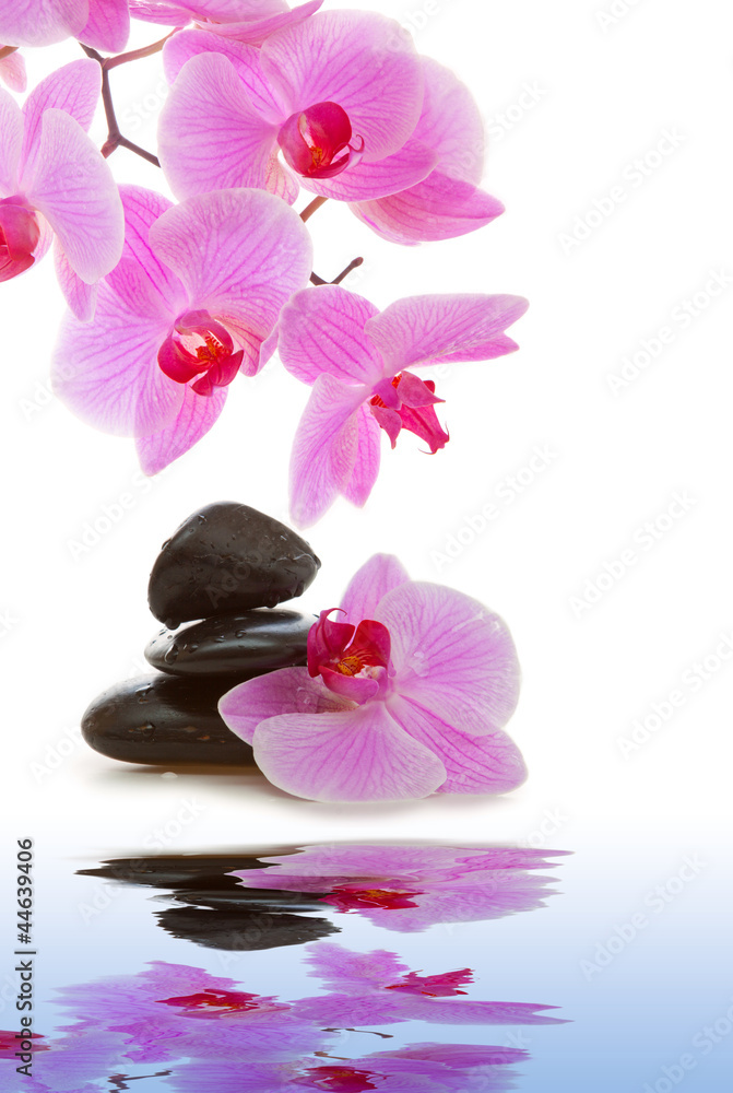 Massage Stones with Orchid