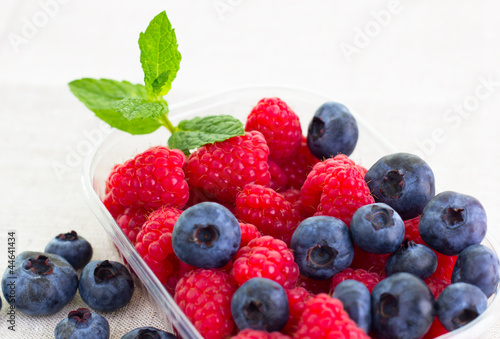 fresh bilberries and raspberries in a bowl