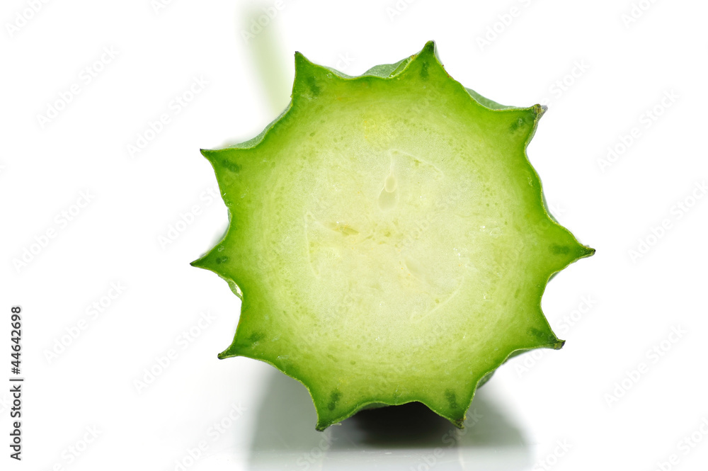 Luffa Squash Luffa Squash