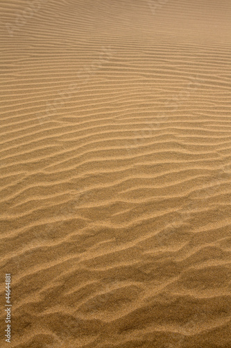Desert dunes in Maspalomas Gran Canaria