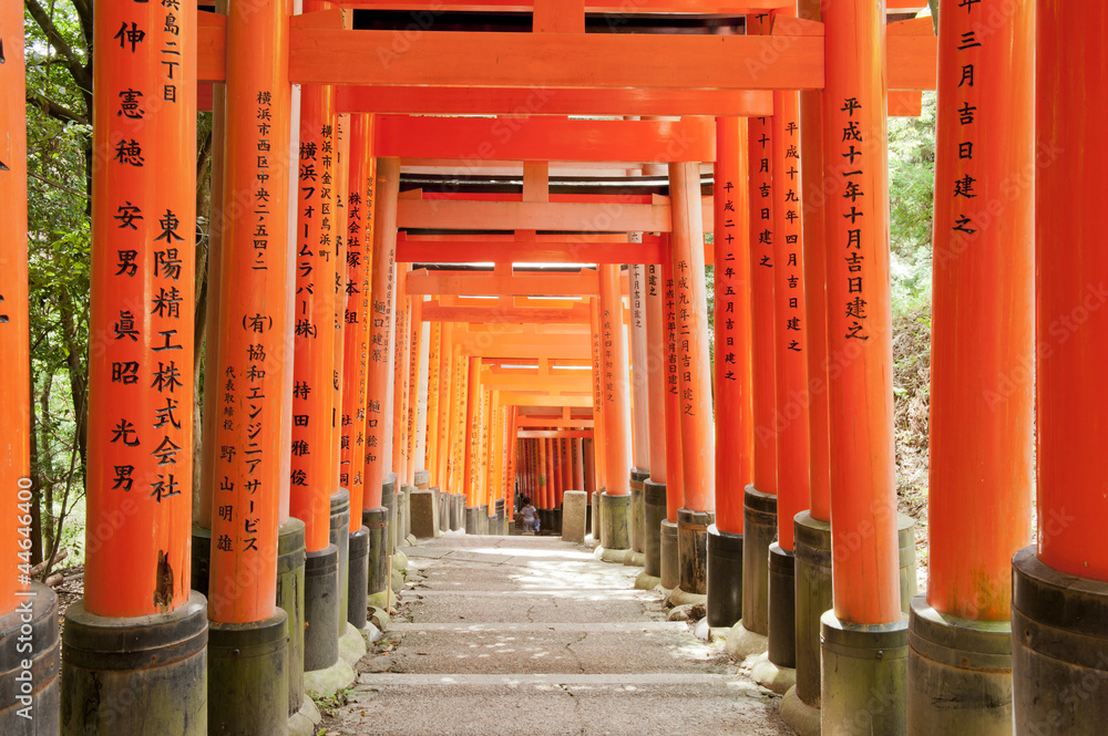 Fushimi Inari Fushimi Inari