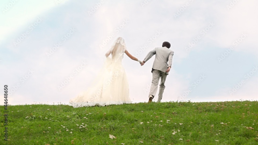 Newly-married couple moves upwards on meadow Newly-married couple moves upwards on meadow