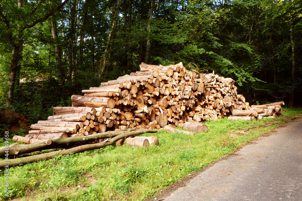 Holzstapel