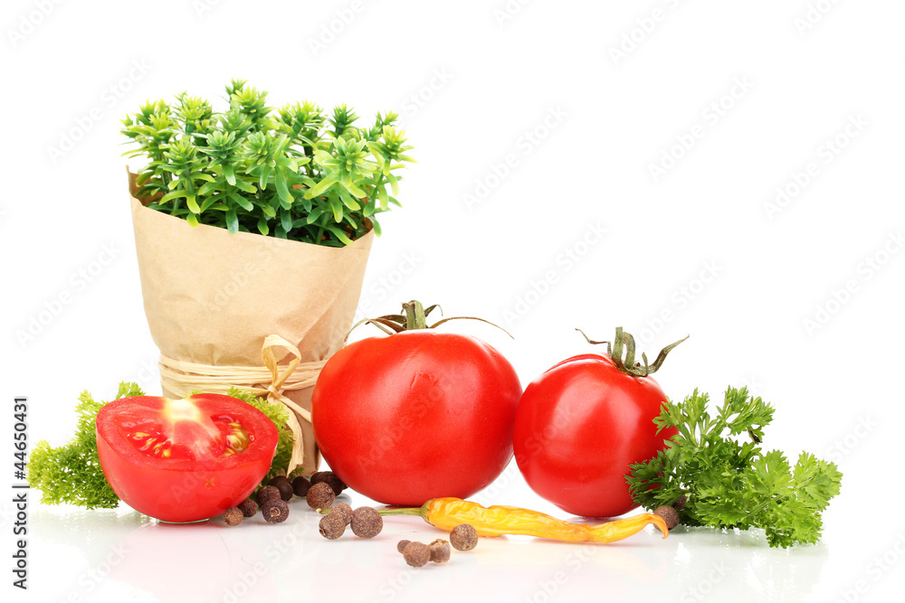 Still life tomatoes ketchup and herbs isolated on white Still life tomatoes ketchup and herbs isolated on white