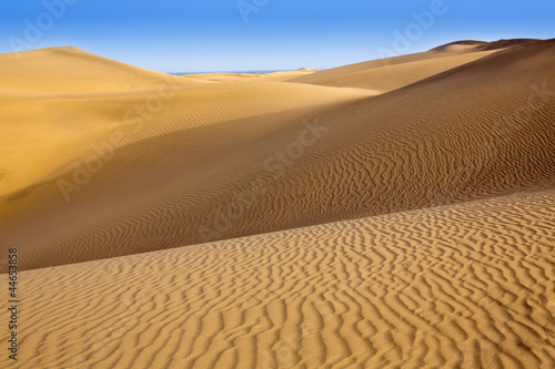 Desert sand dunes in Maspalomas Gran Canaria